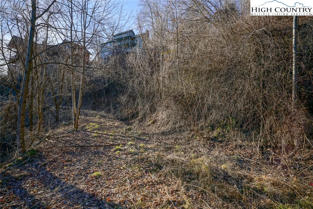 Image number 9 for the current listing