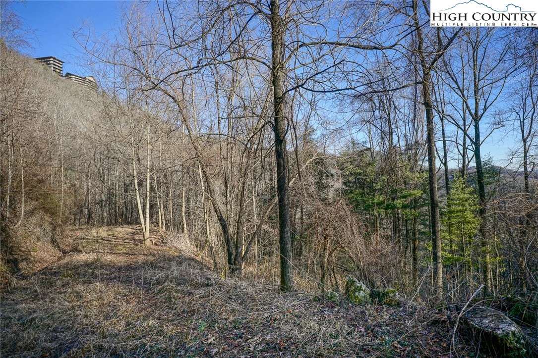 Image number 8 for the current listing