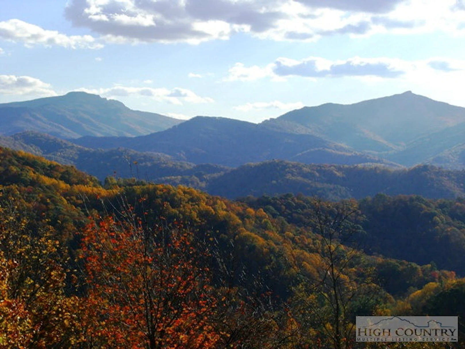 Image number 1 for the current listing