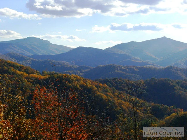 Image number 1 for the current listing