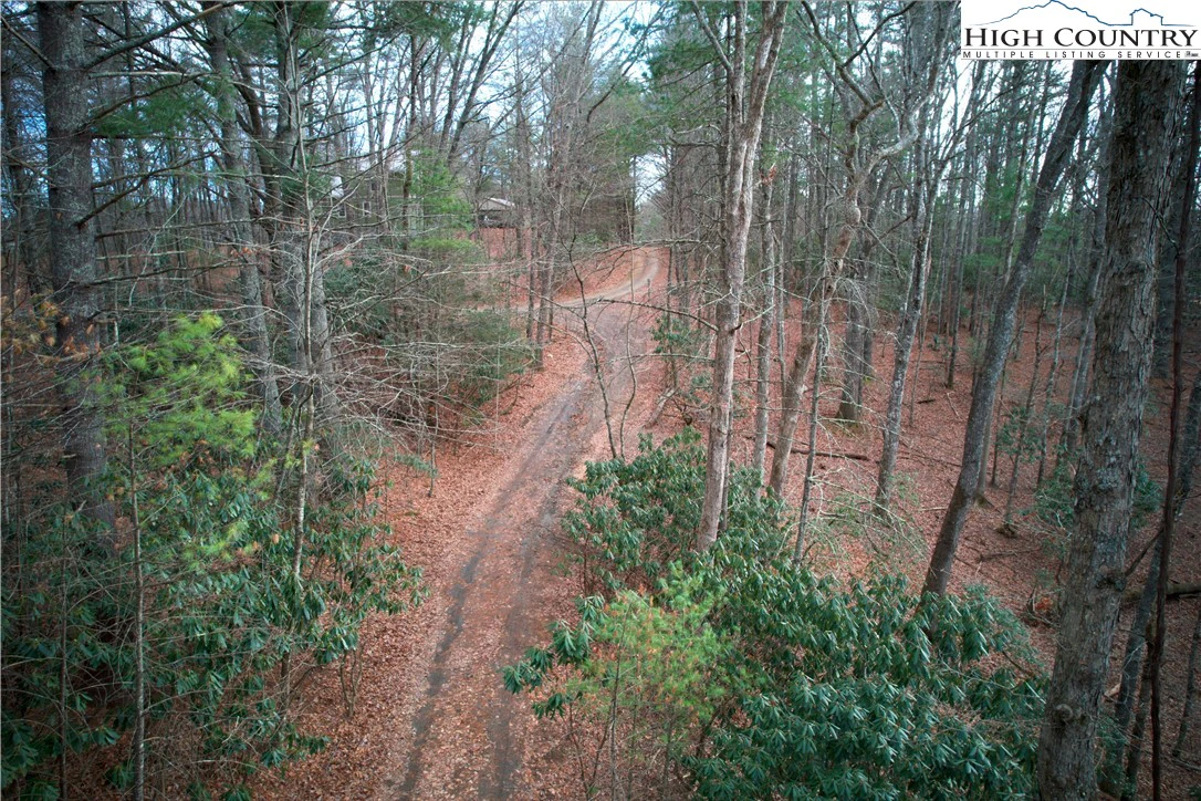 Image number 6 for the current listing