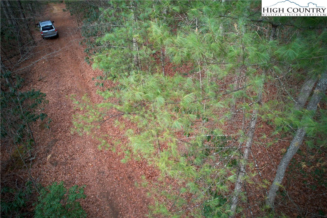 Image number 5 for the current listing