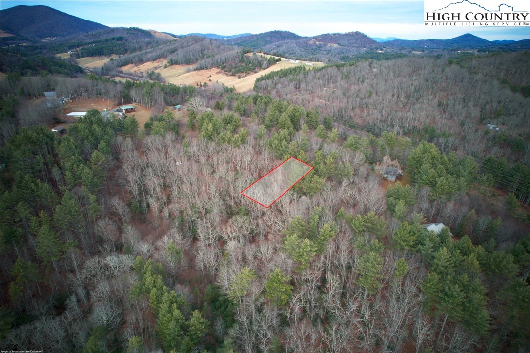 Image number 12 for the current listing