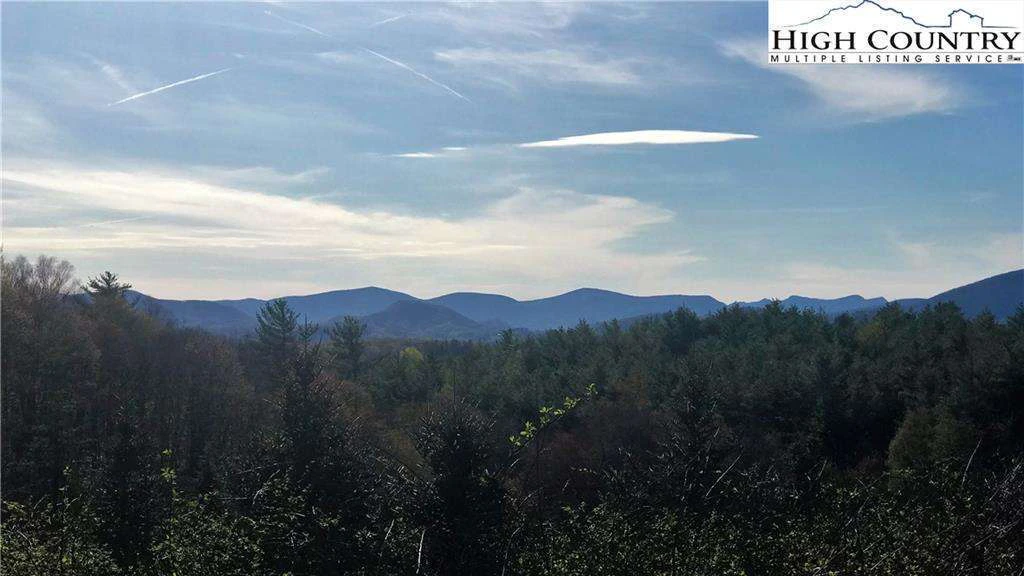 Image number 1 for the current listing