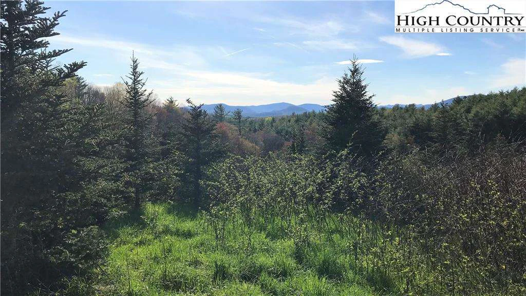 Image number 3 for the current listing