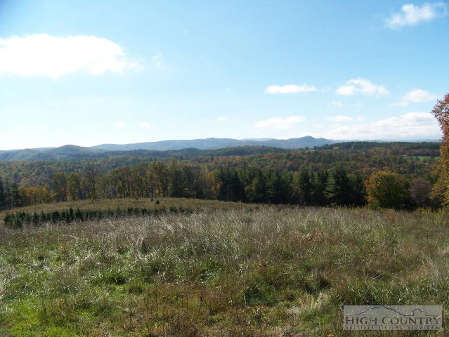 Image number 8 for the current listing