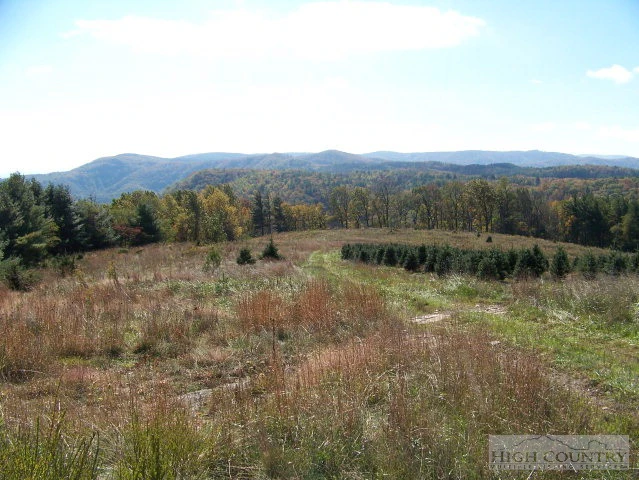 Image number 1 for the current listing