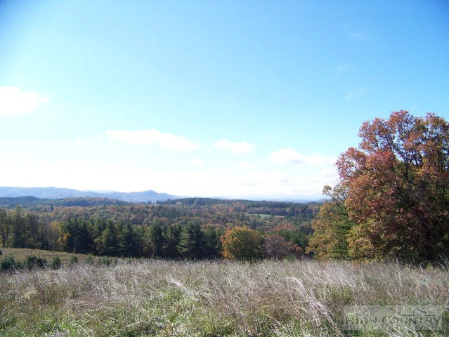 Image number 4 for the current listing
