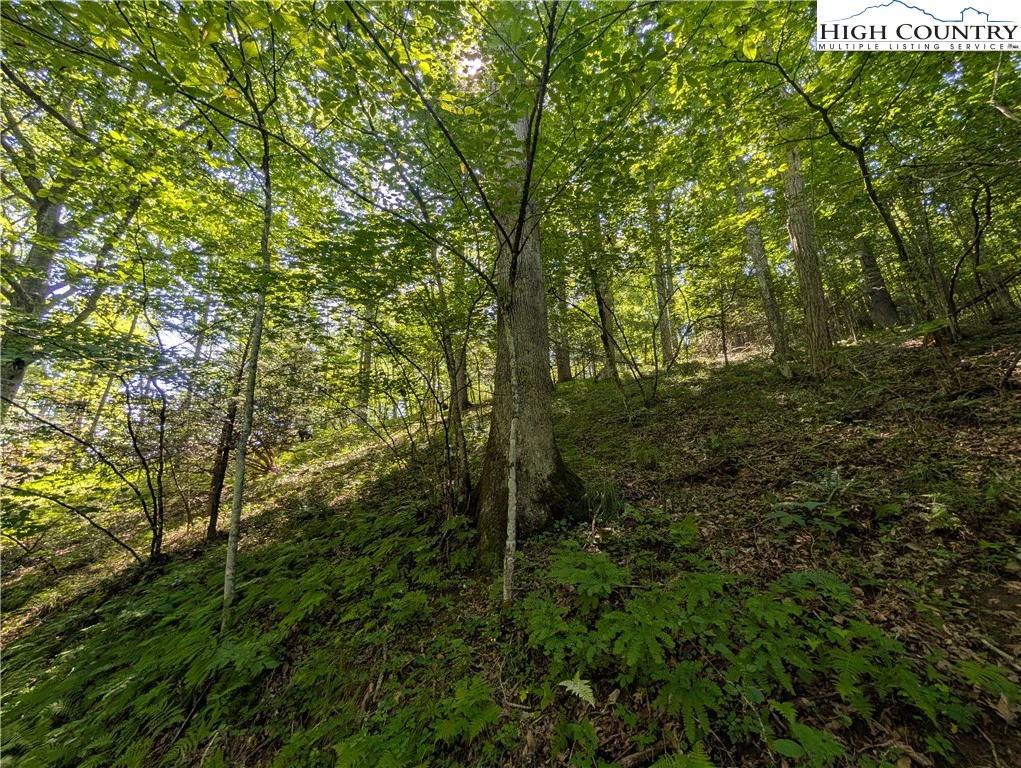 Image number 14 for the current listing