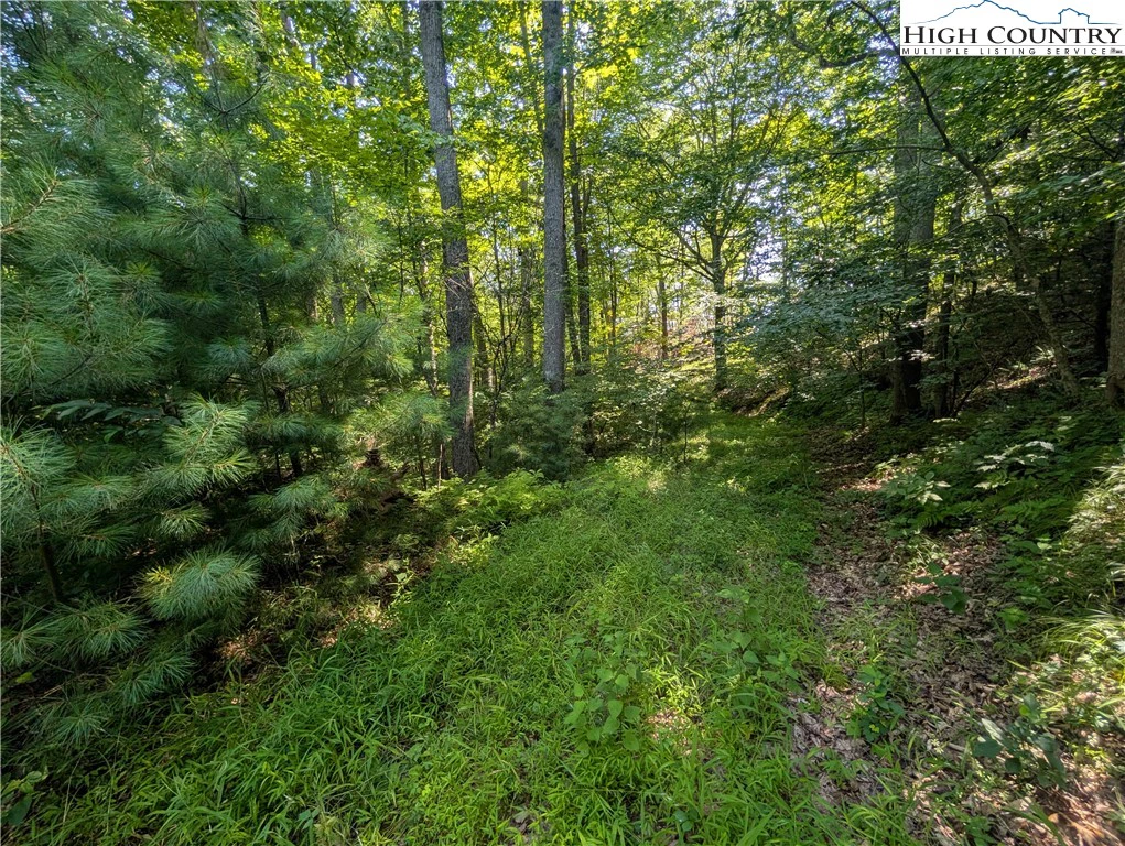 Image number 12 for the current listing