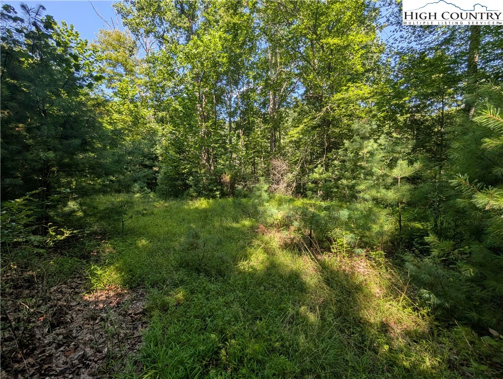 Image number 11 for the current listing