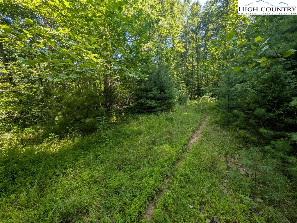 Image number 10 for the current listing