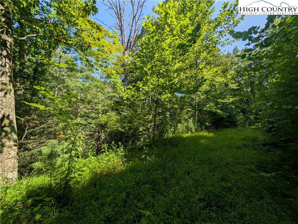 Image number 9 for the current listing