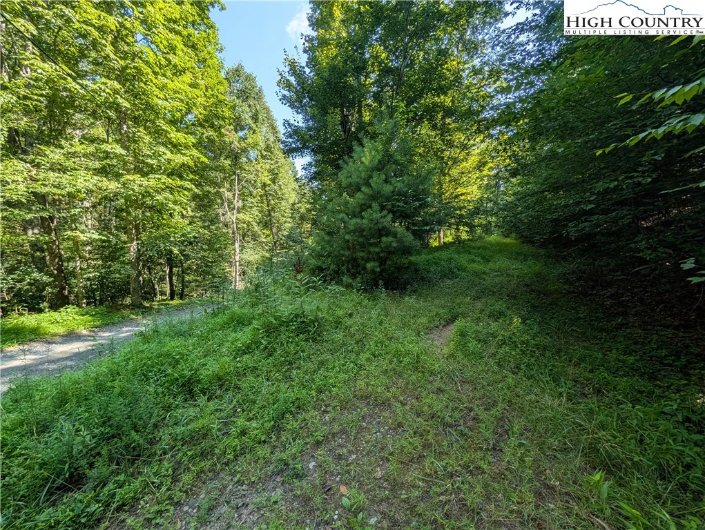 Image number 8 for the current listing