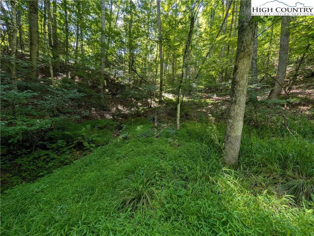 Image number 7 for the current listing