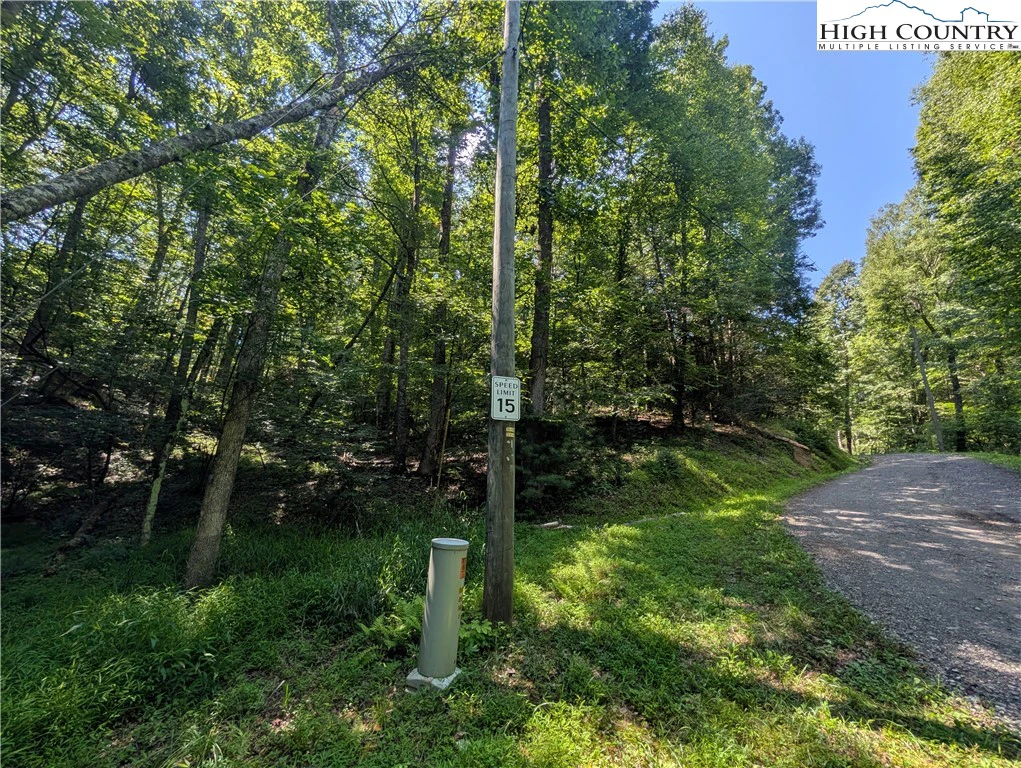 Image number 6 for the current listing