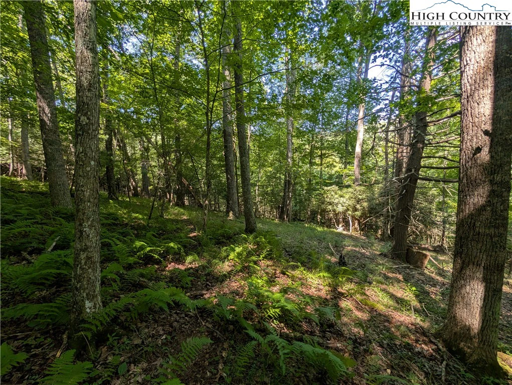 Image number 1 for the current listing