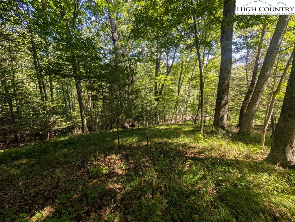 Image number 20 for the current listing