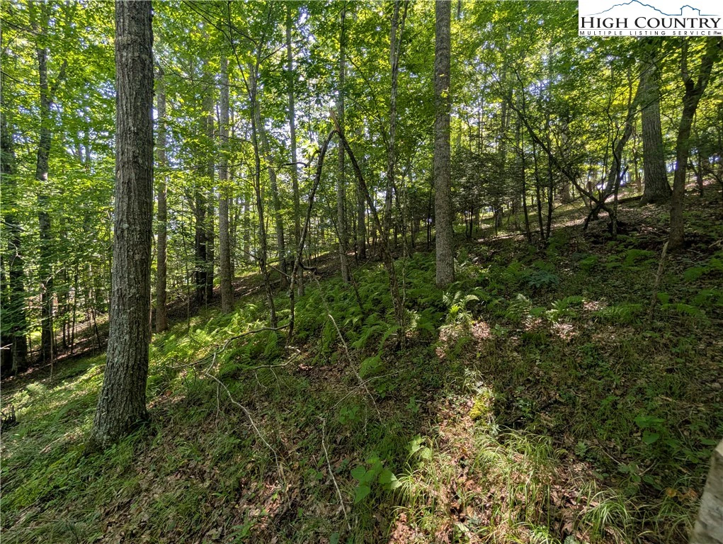Image number 17 for the current listing