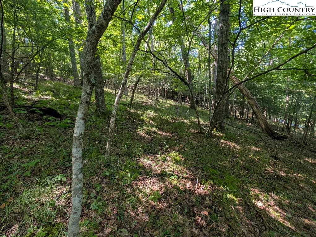 Image number 16 for the current listing