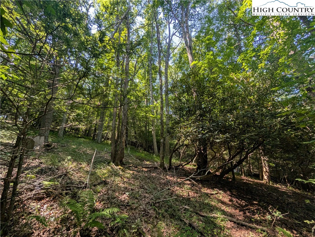 Image number 15 for the current listing