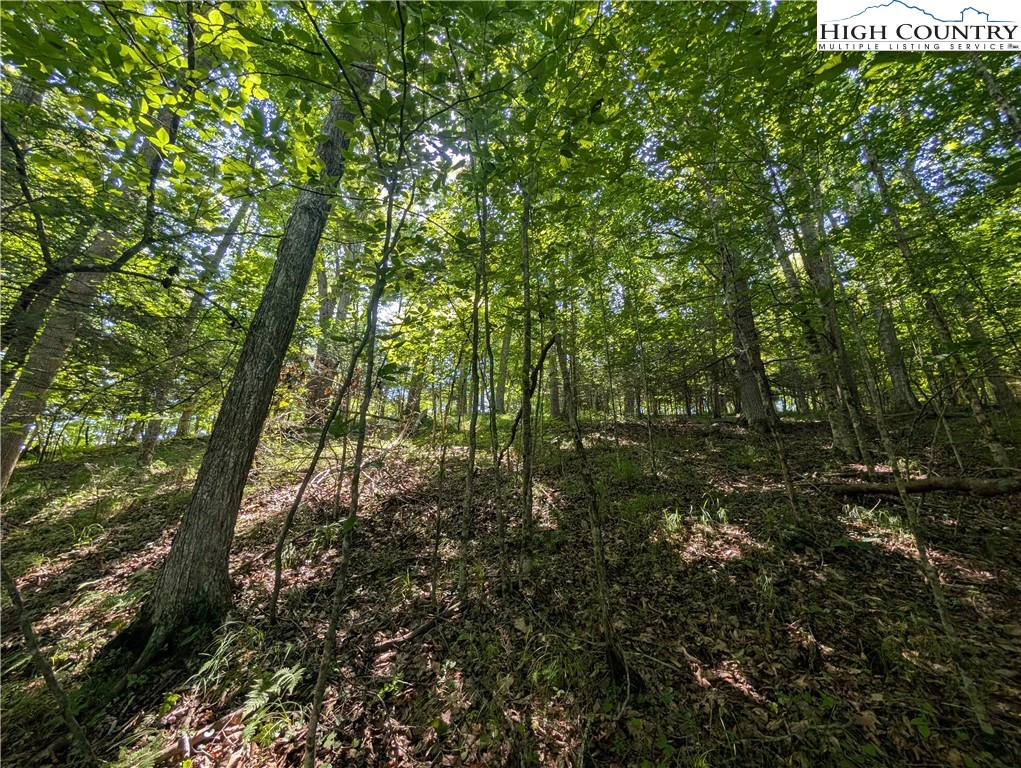 Image number 2 for the current listing