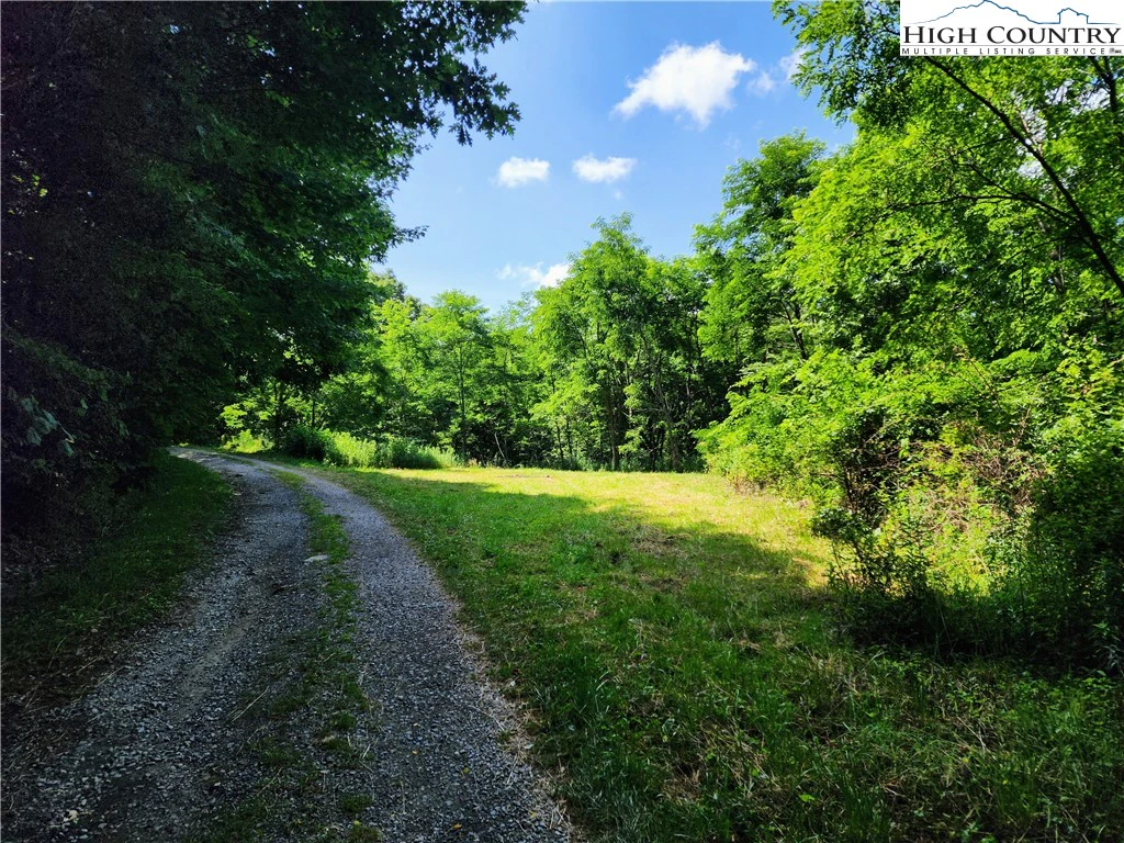 Image number 1 for the current listing
