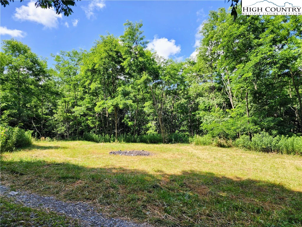 Image number 3 for the current listing