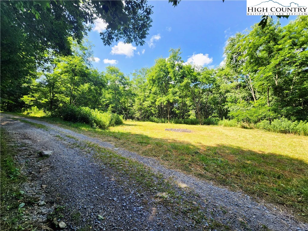 Image number 4 for the current listing