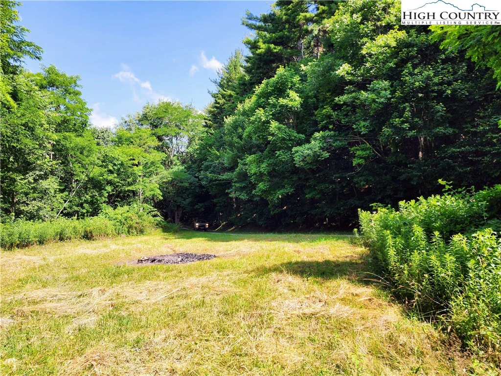Image number 5 for the current listing