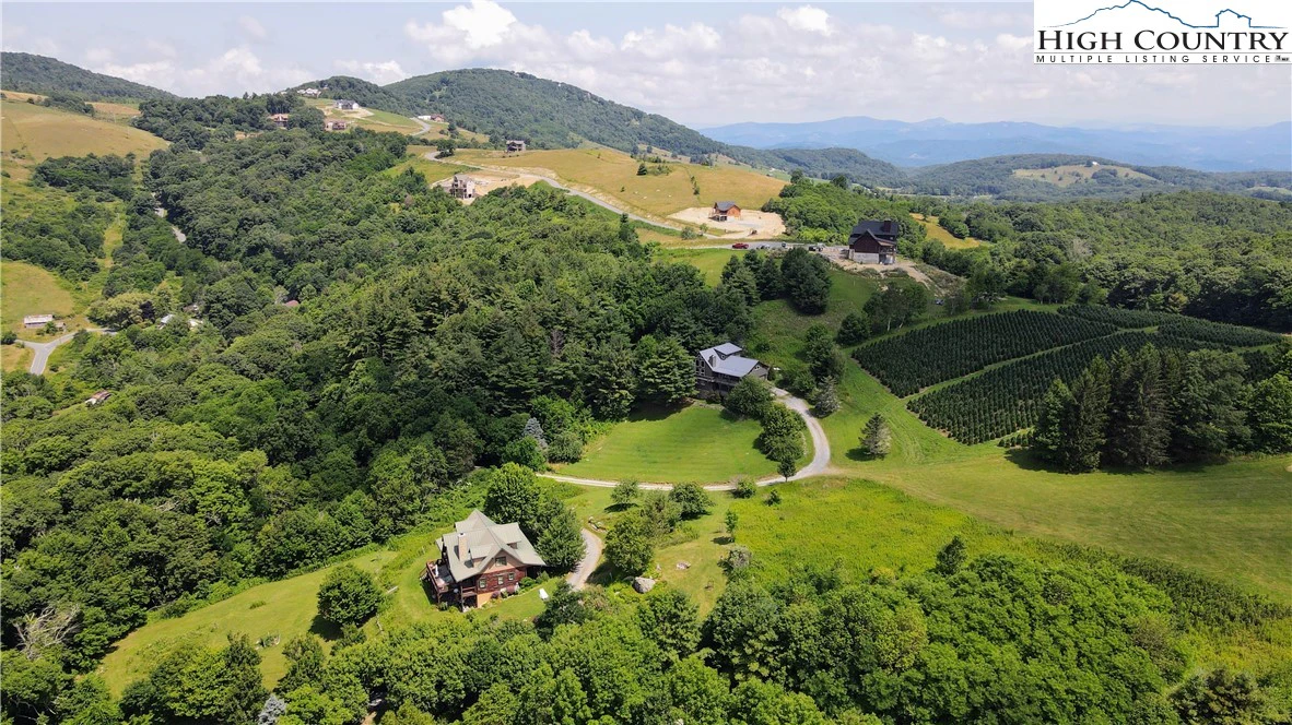 Image number 9 for the current listing