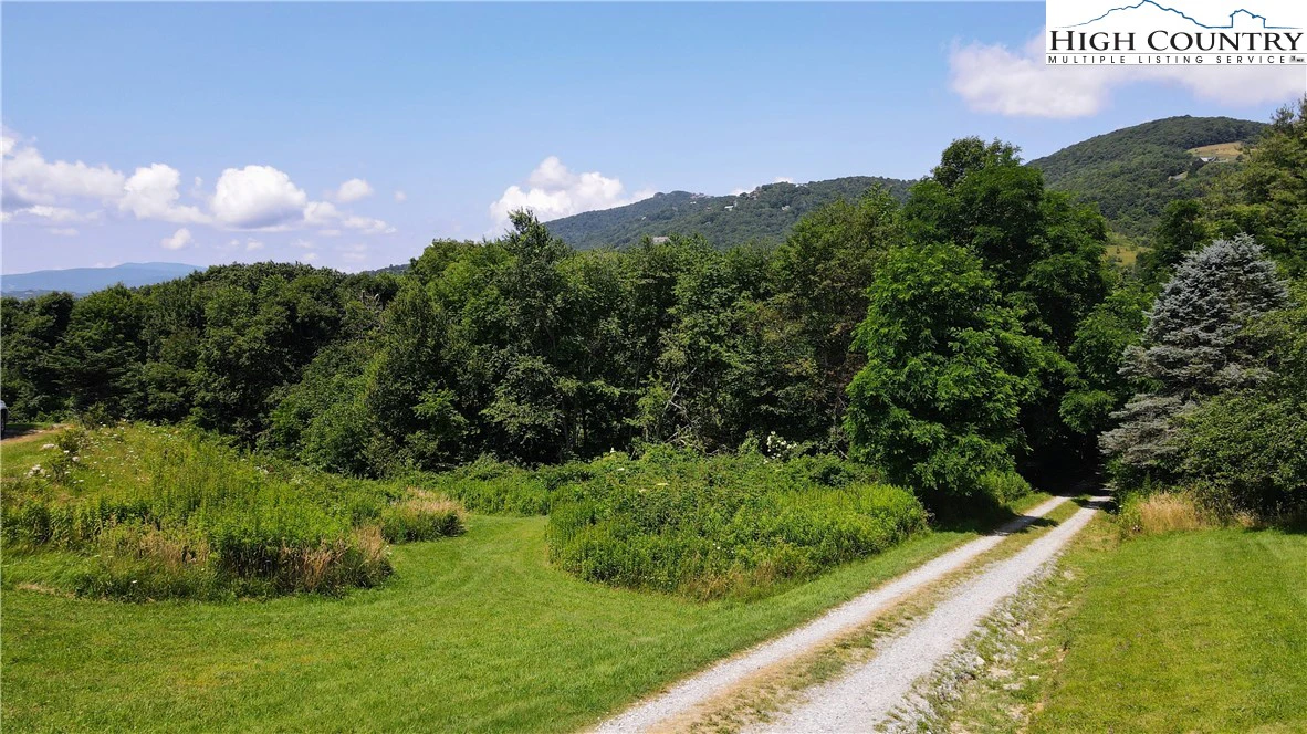 Image number 13 for the current listing