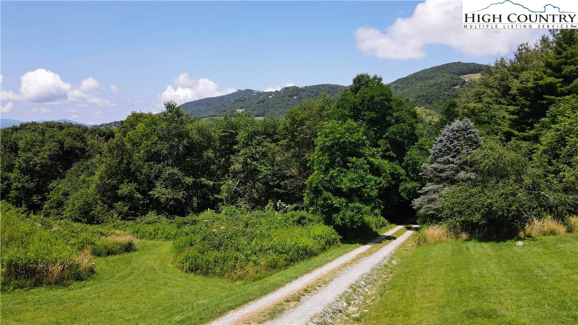 Image number 14 for the current listing