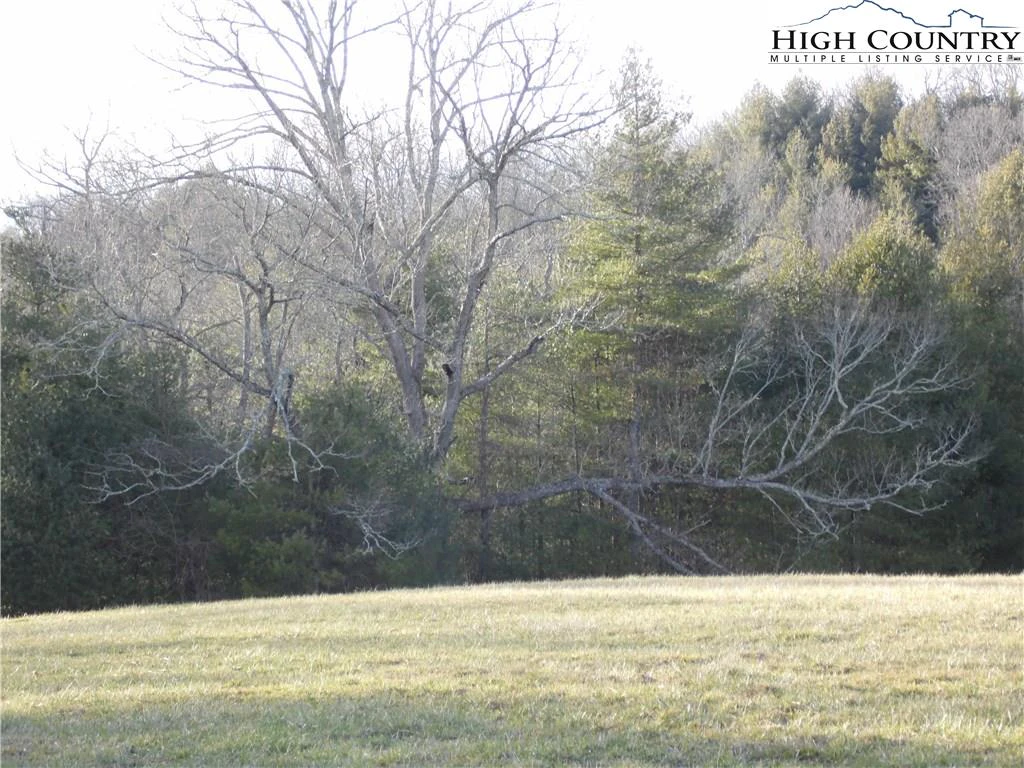 Image number 2 for the current listing