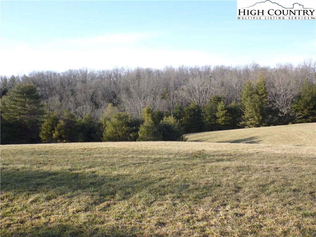 Image number 11 for the current listing