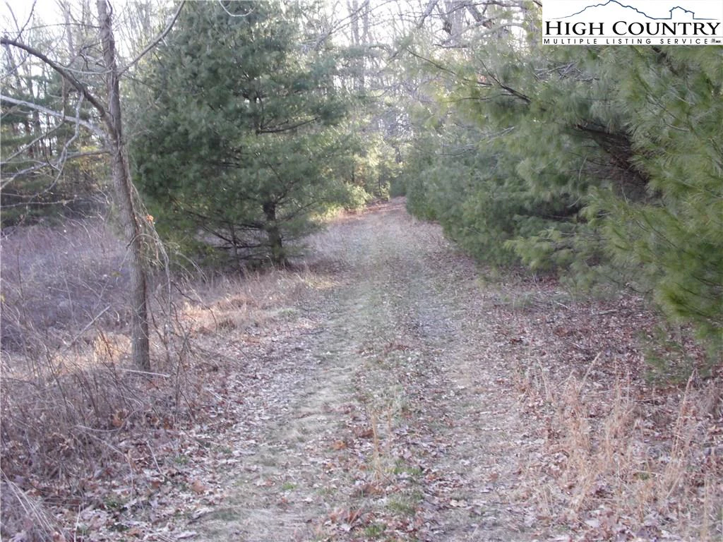 Image number 7 for the current listing