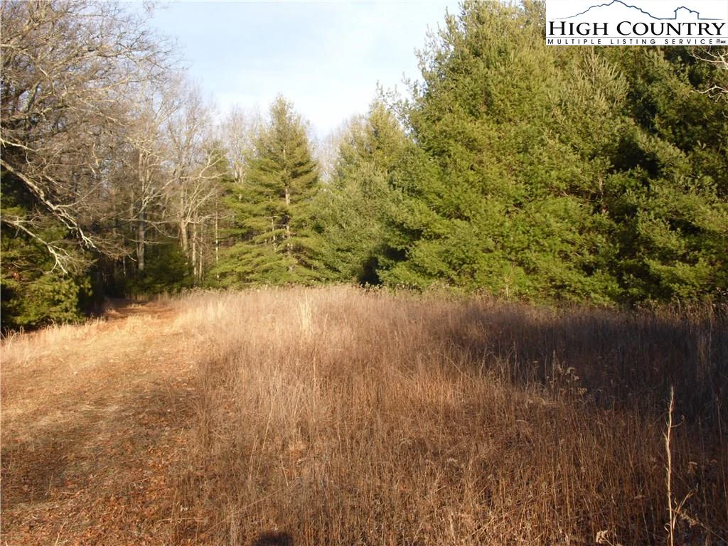 Image number 6 for the current listing