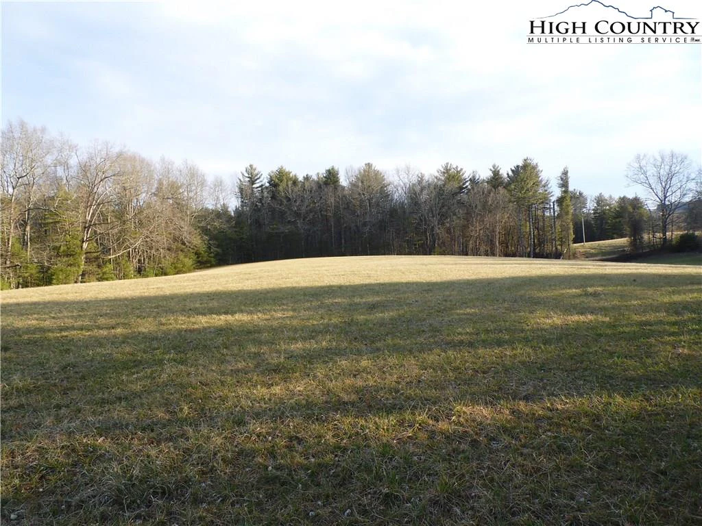 Image number 4 for the current listing