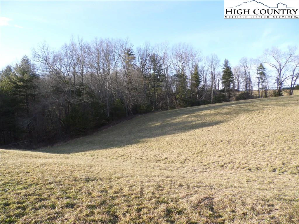 Image number 12 for the current listing