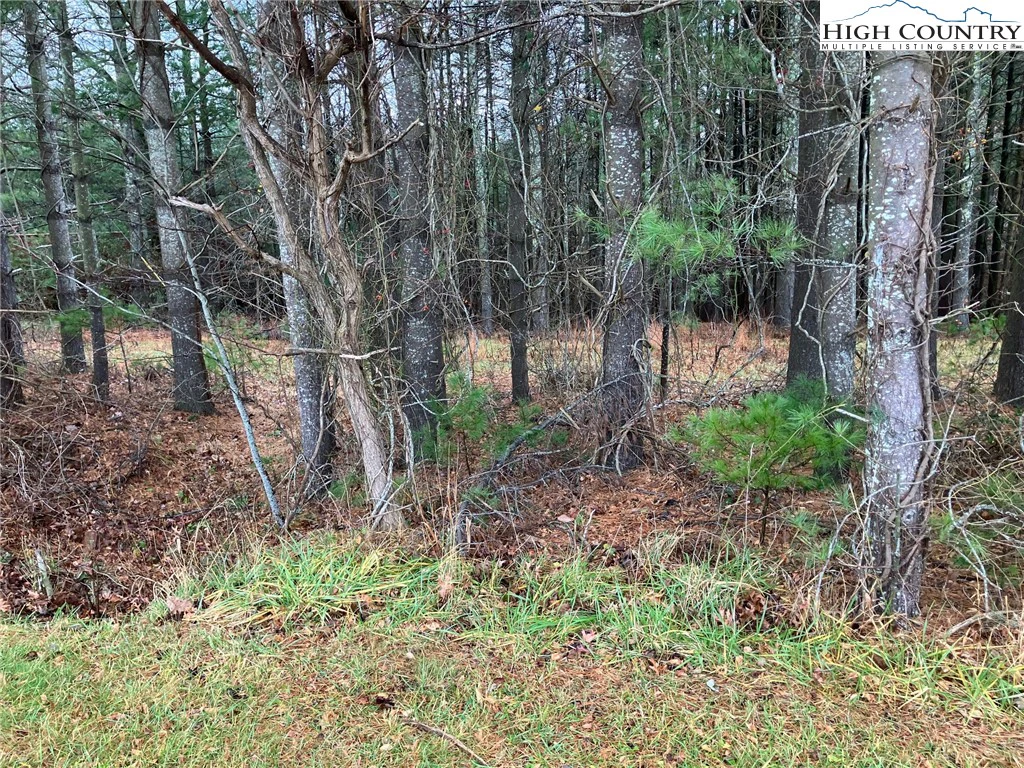 Image number 7 for the current listing
