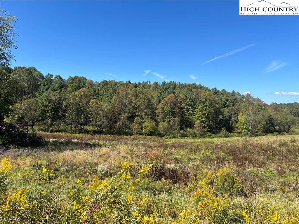 Image number 1 for the current listing