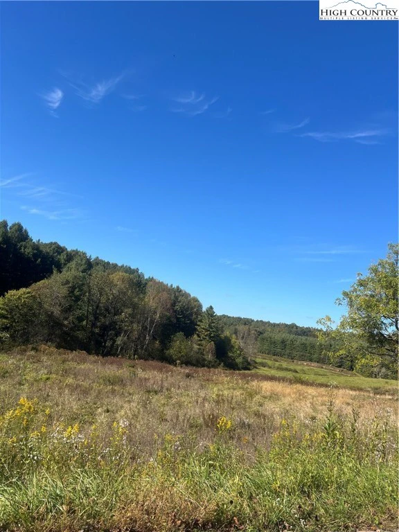 Image number 6 for the current listing