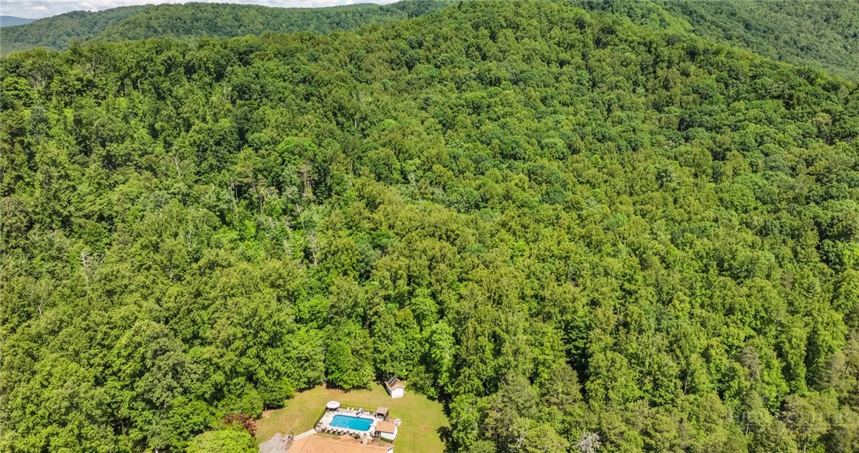 Image number 3 for the current listing