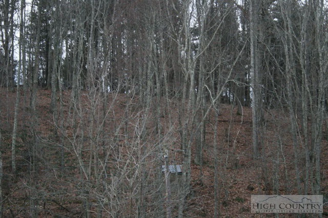 Image number 1 for the current listing