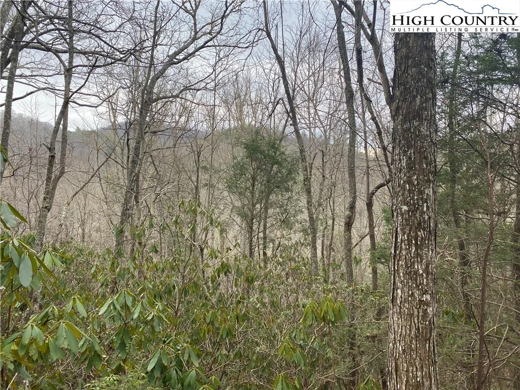Image number 1 for the current listing