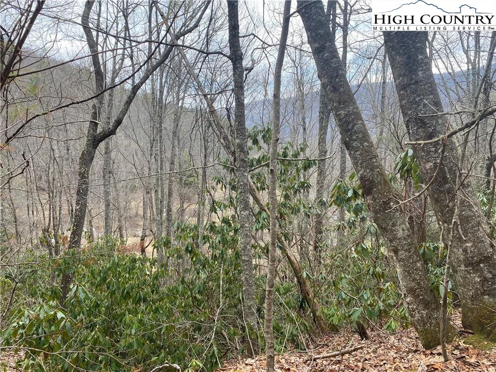 Image number 11 for the current listing
