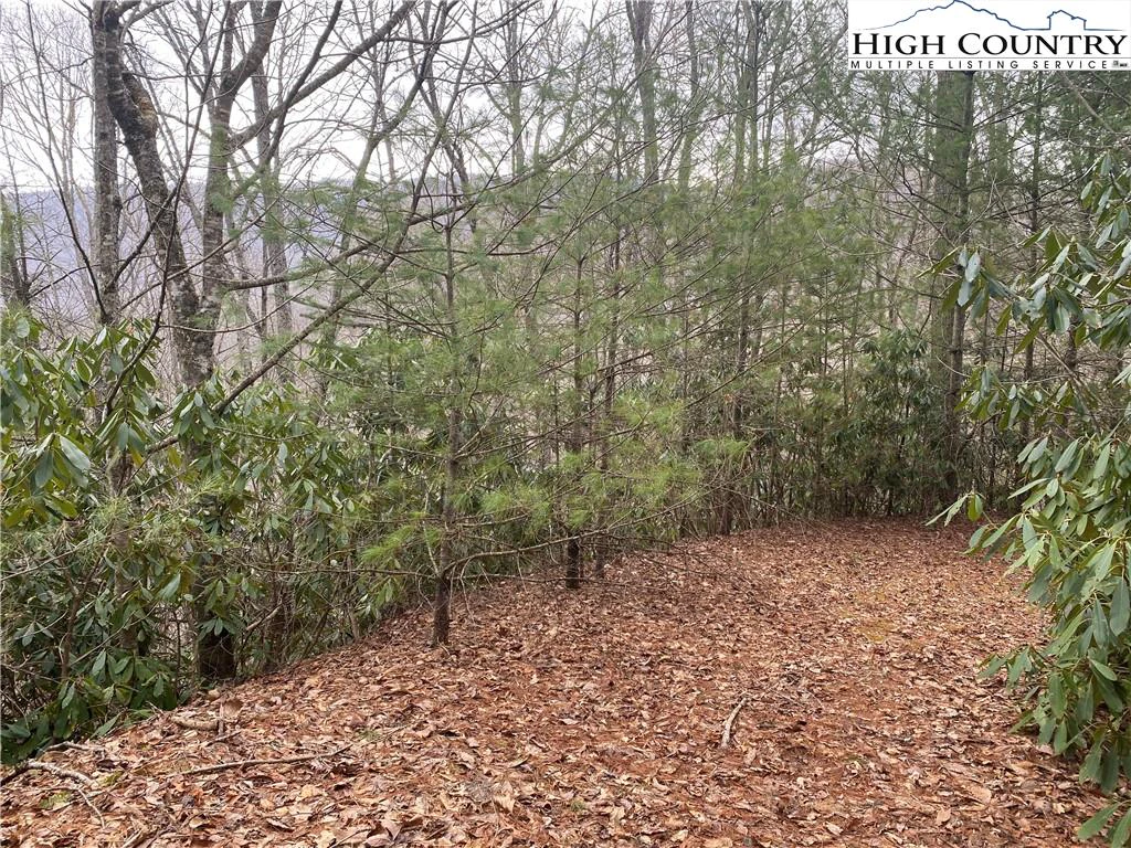 Image number 12 for the current listing