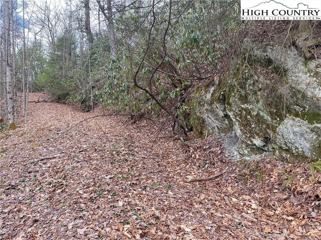 Image number 13 for the current listing