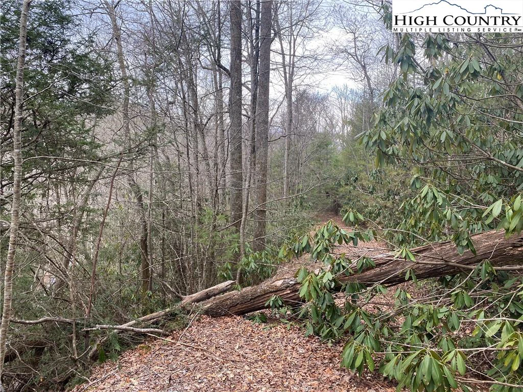 Image number 3 for the current listing