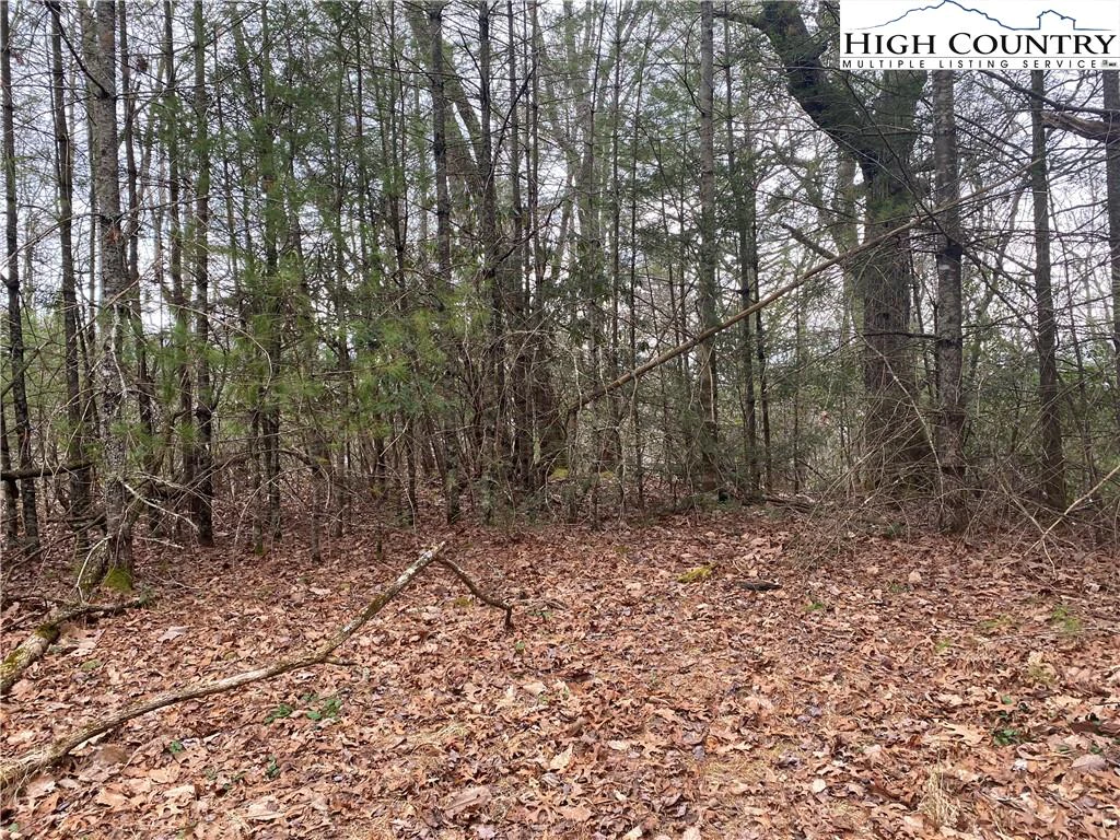 Image number 4 for the current listing